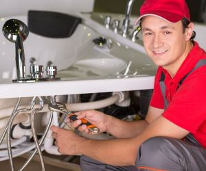 About Septic Pumping Service Lerna, IL